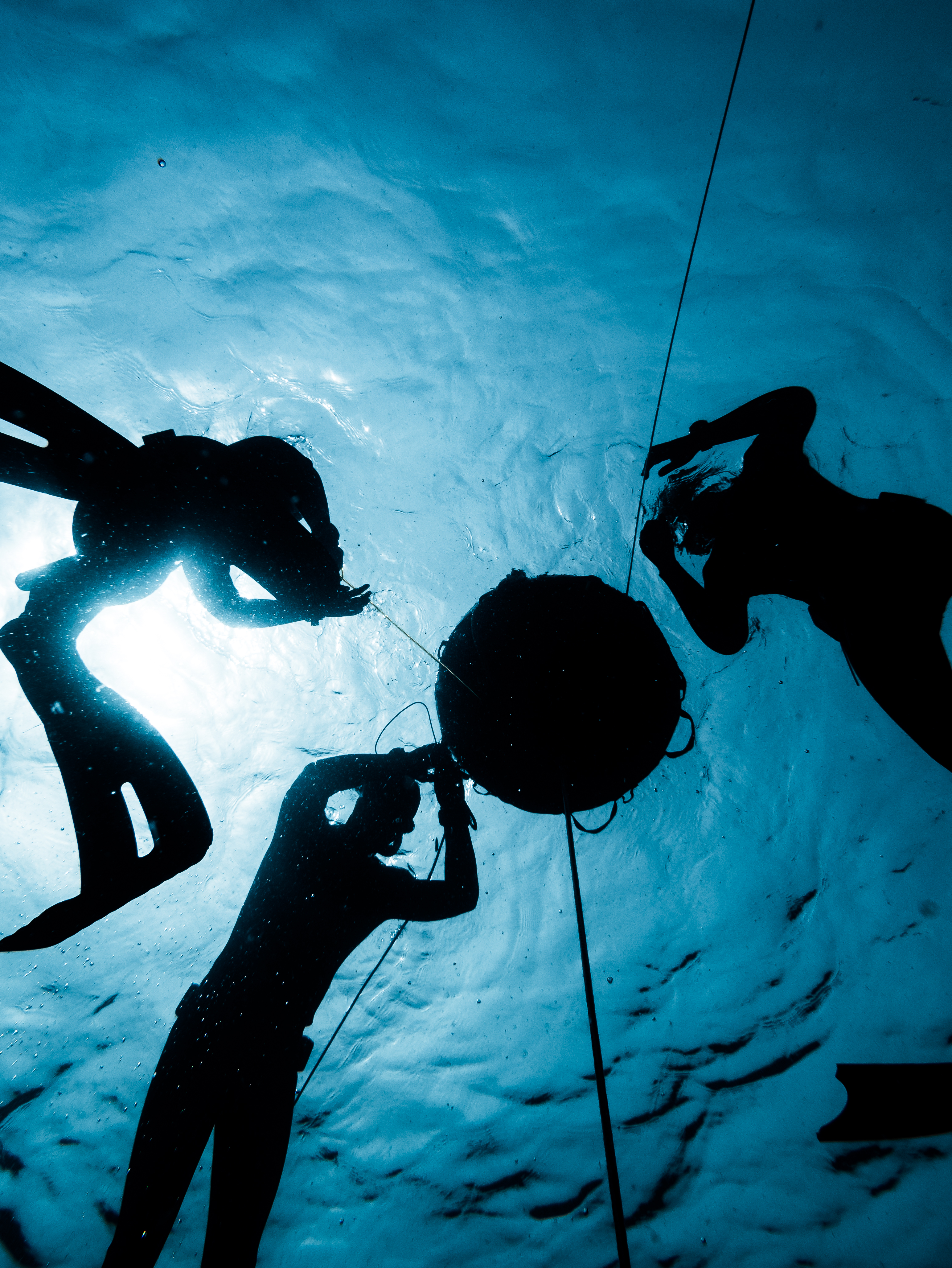 Underwater photo 001.jpg