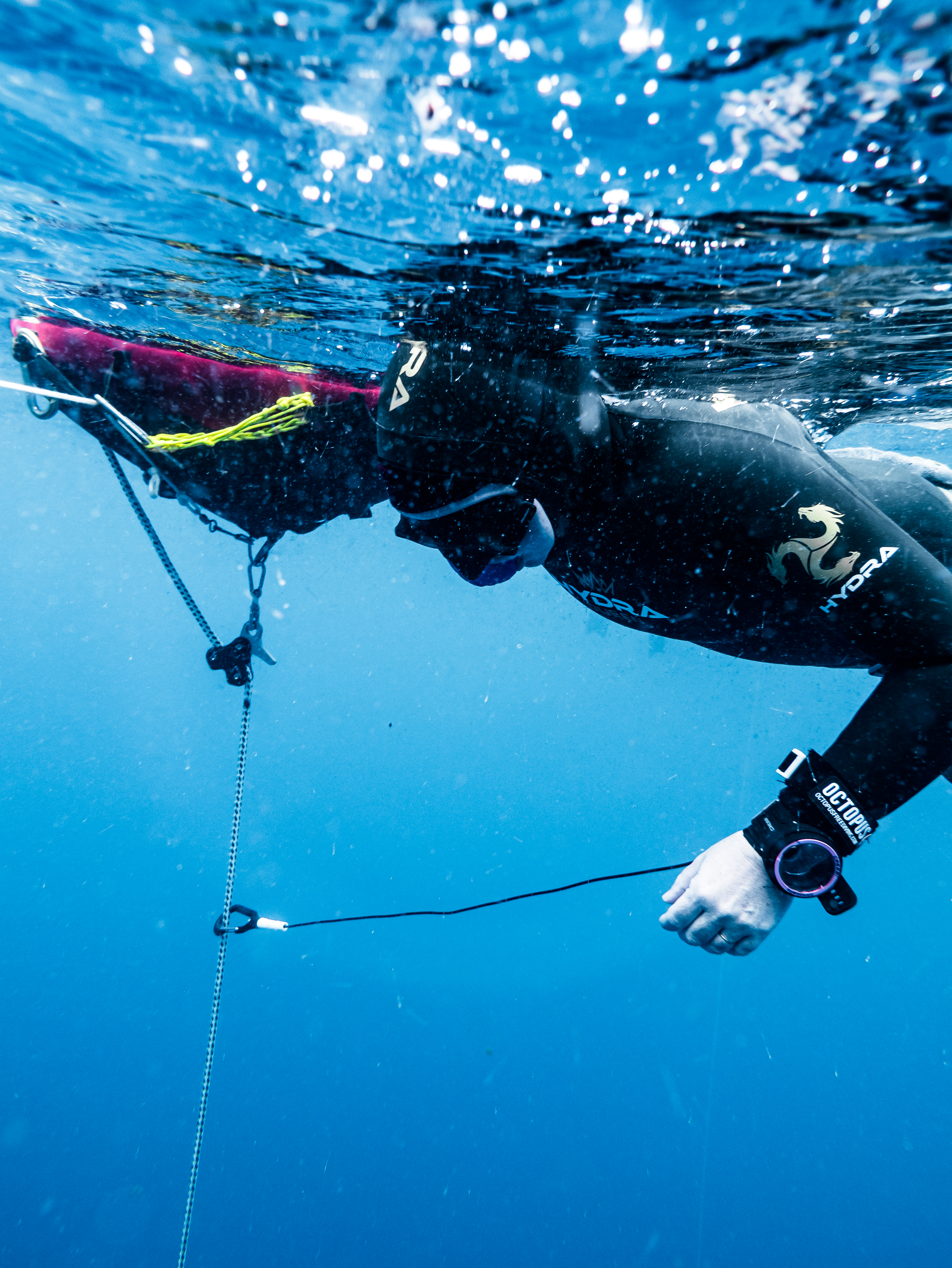 Underwater photo 002.jpg