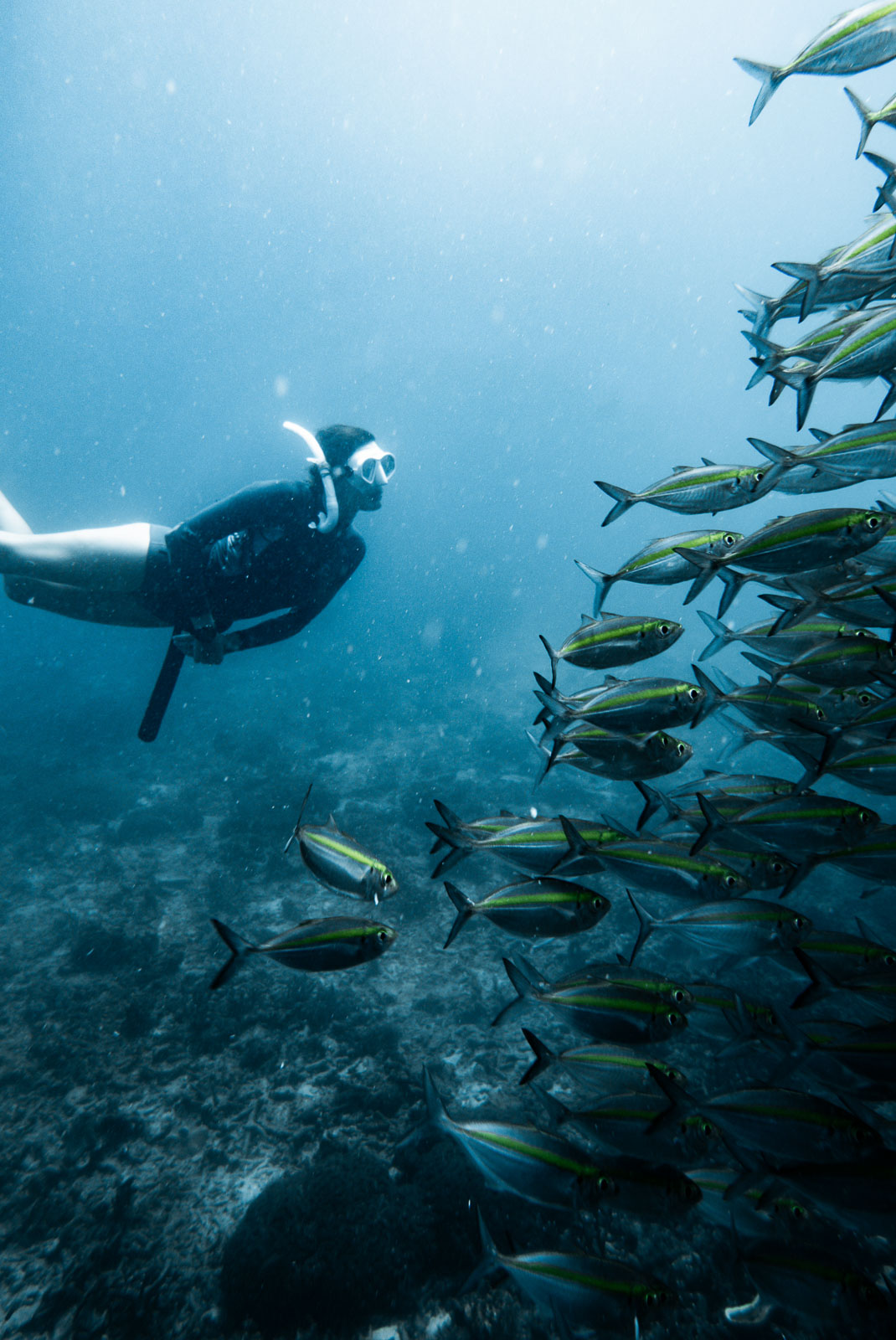 Underwater photo 005.jpg