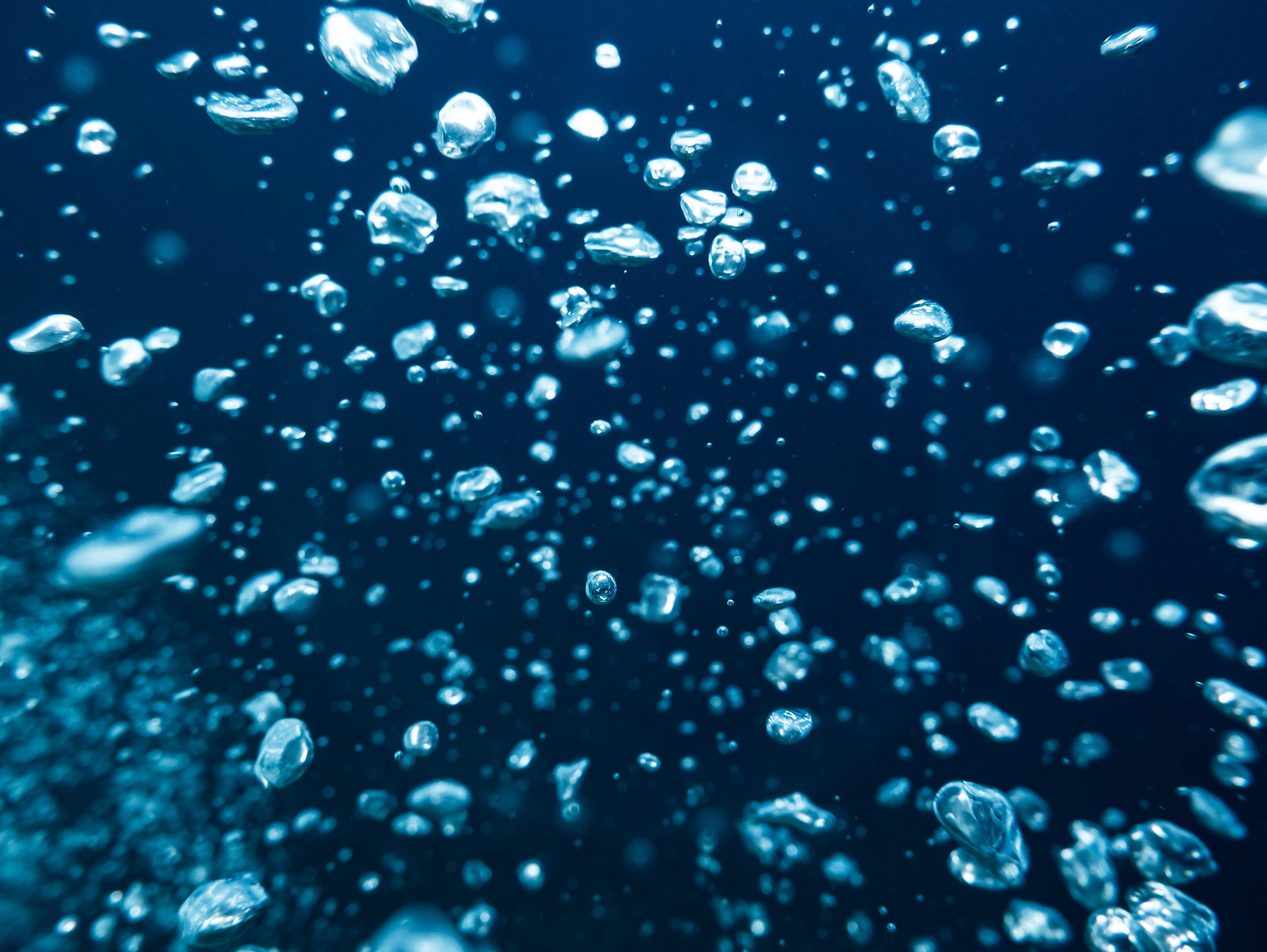 Underwater photo 006.jpg