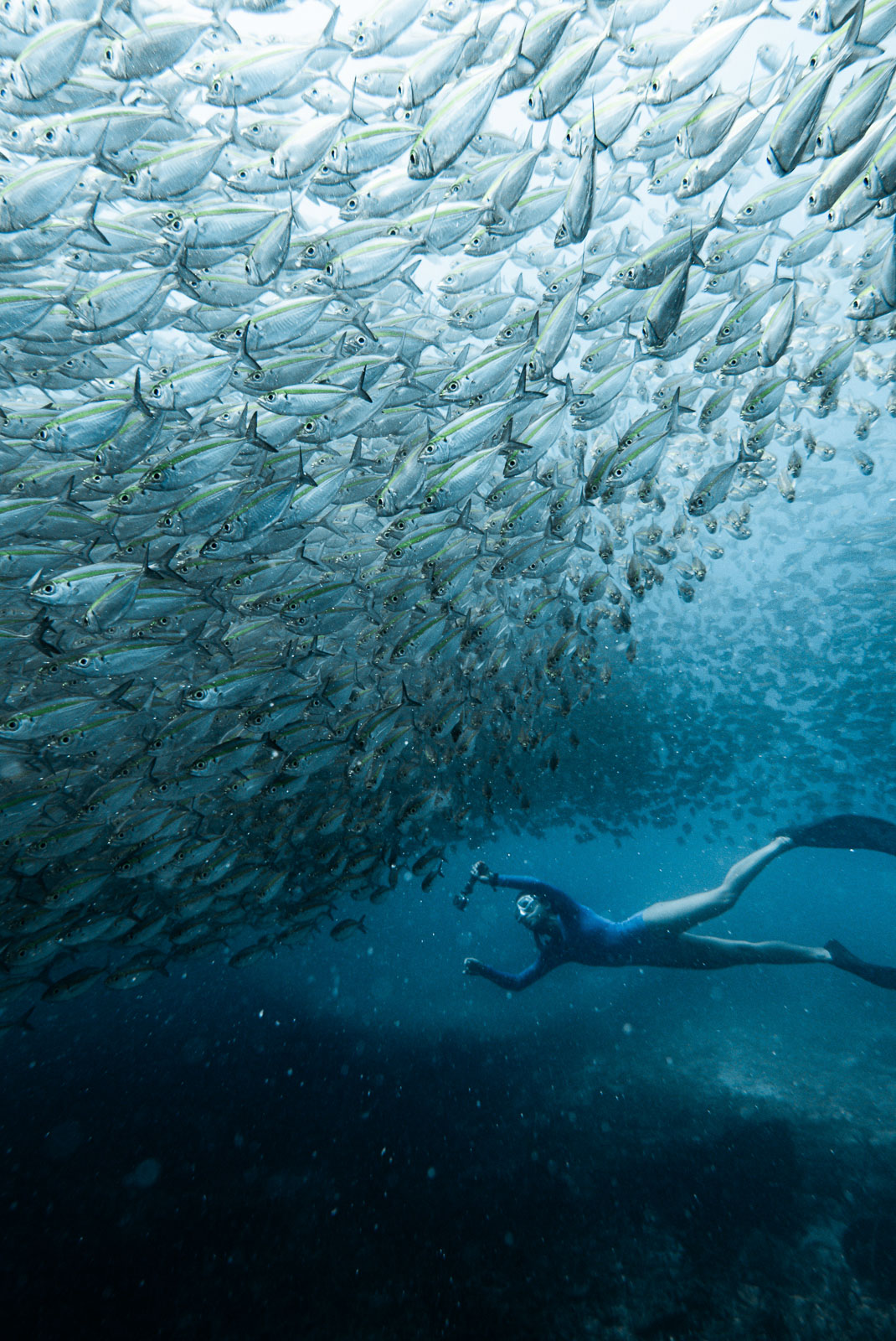 Underwater photo 009.jpg