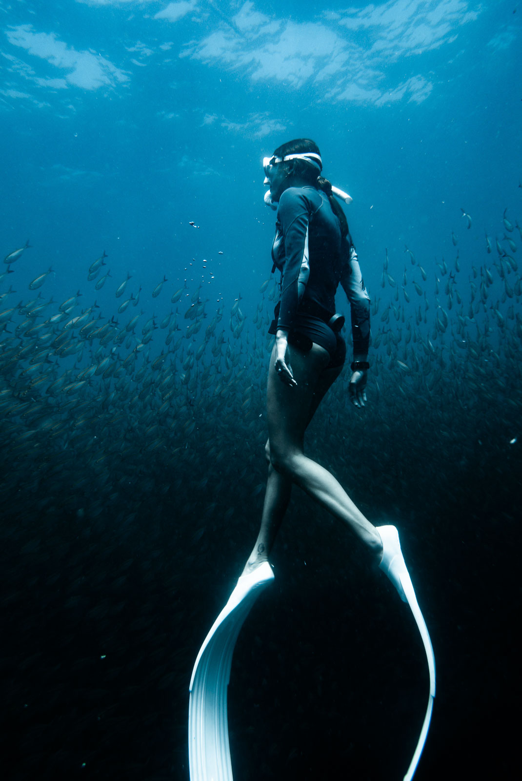 Underwater photo 010.jpg