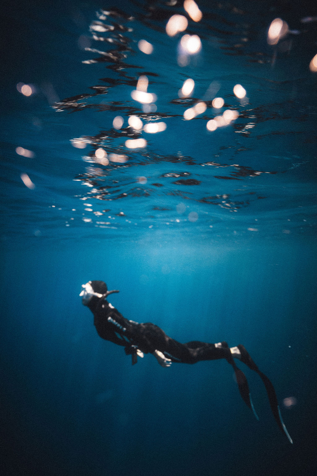 Underwater photo 035.jpg