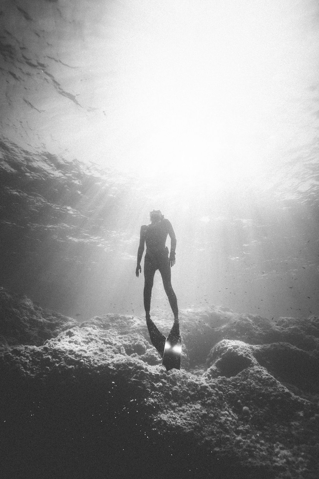 Underwater photo 036.jpg