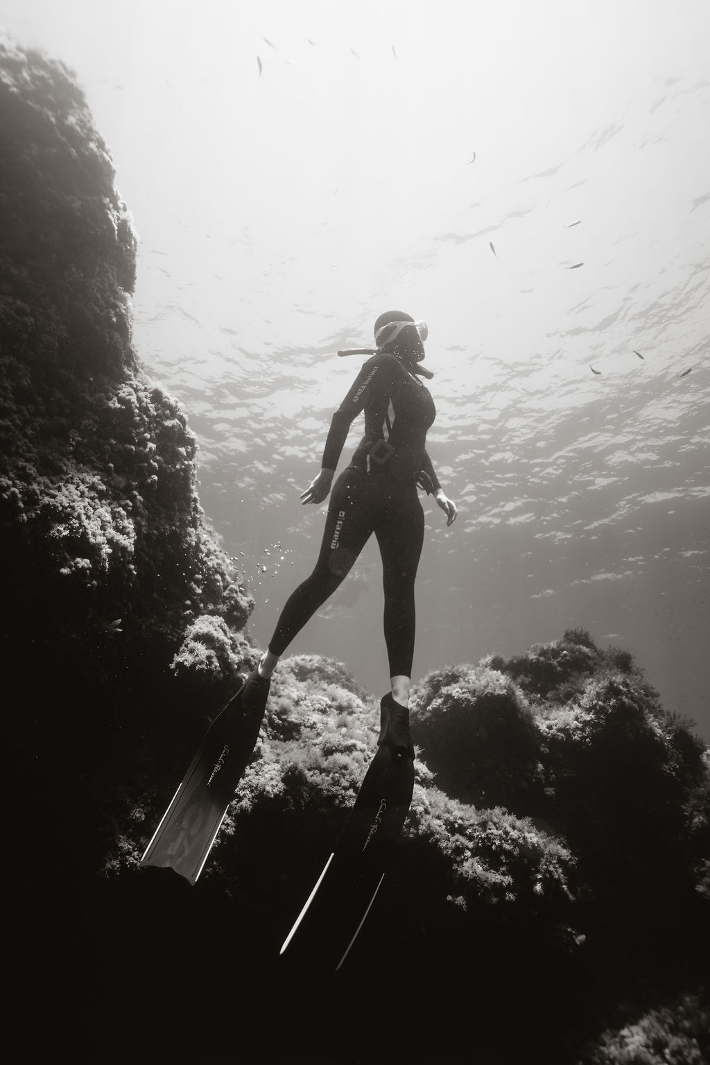 Underwater photo 042.jpg