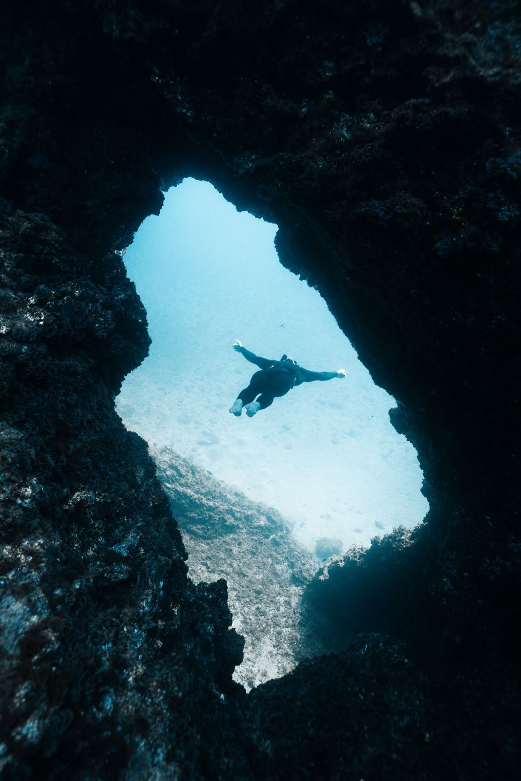 Underwater photo 980.jpg