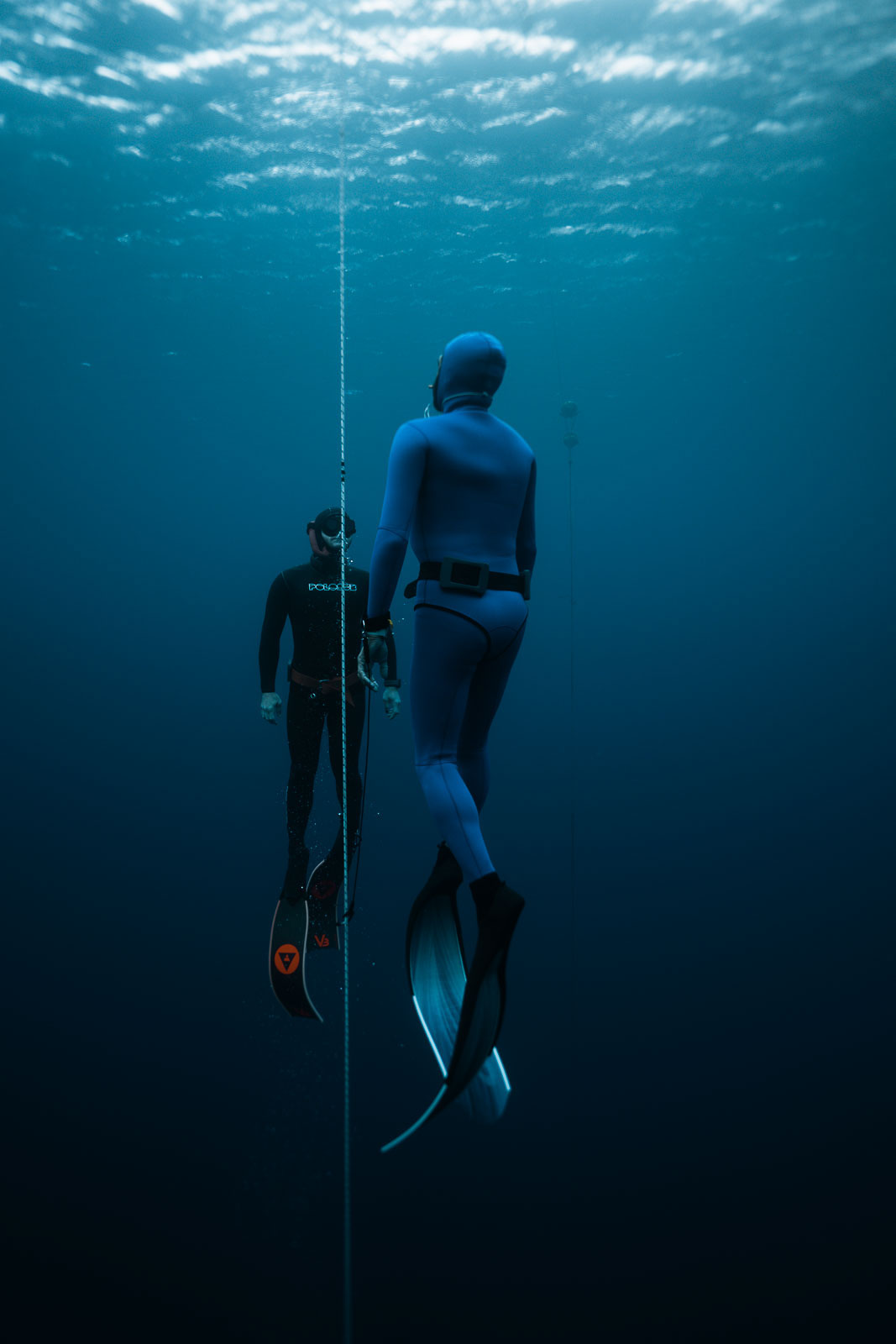 Underwater photo 982.jpg