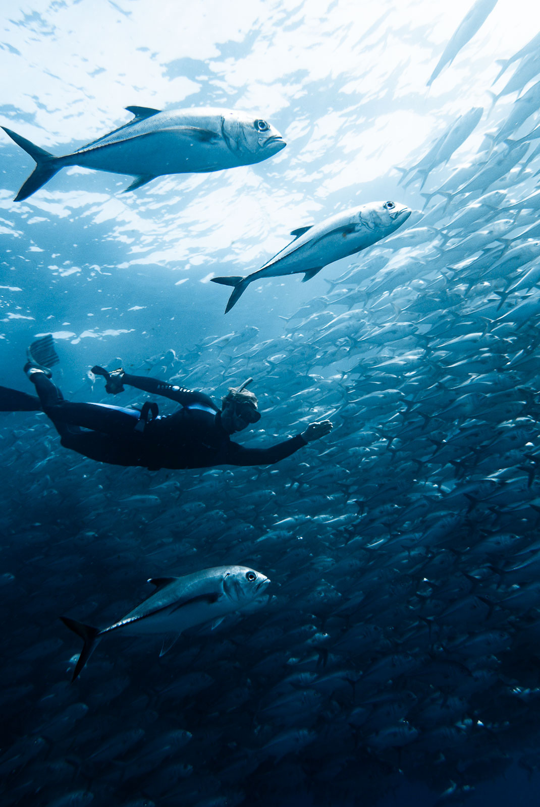 Underwater photo 985.jpg