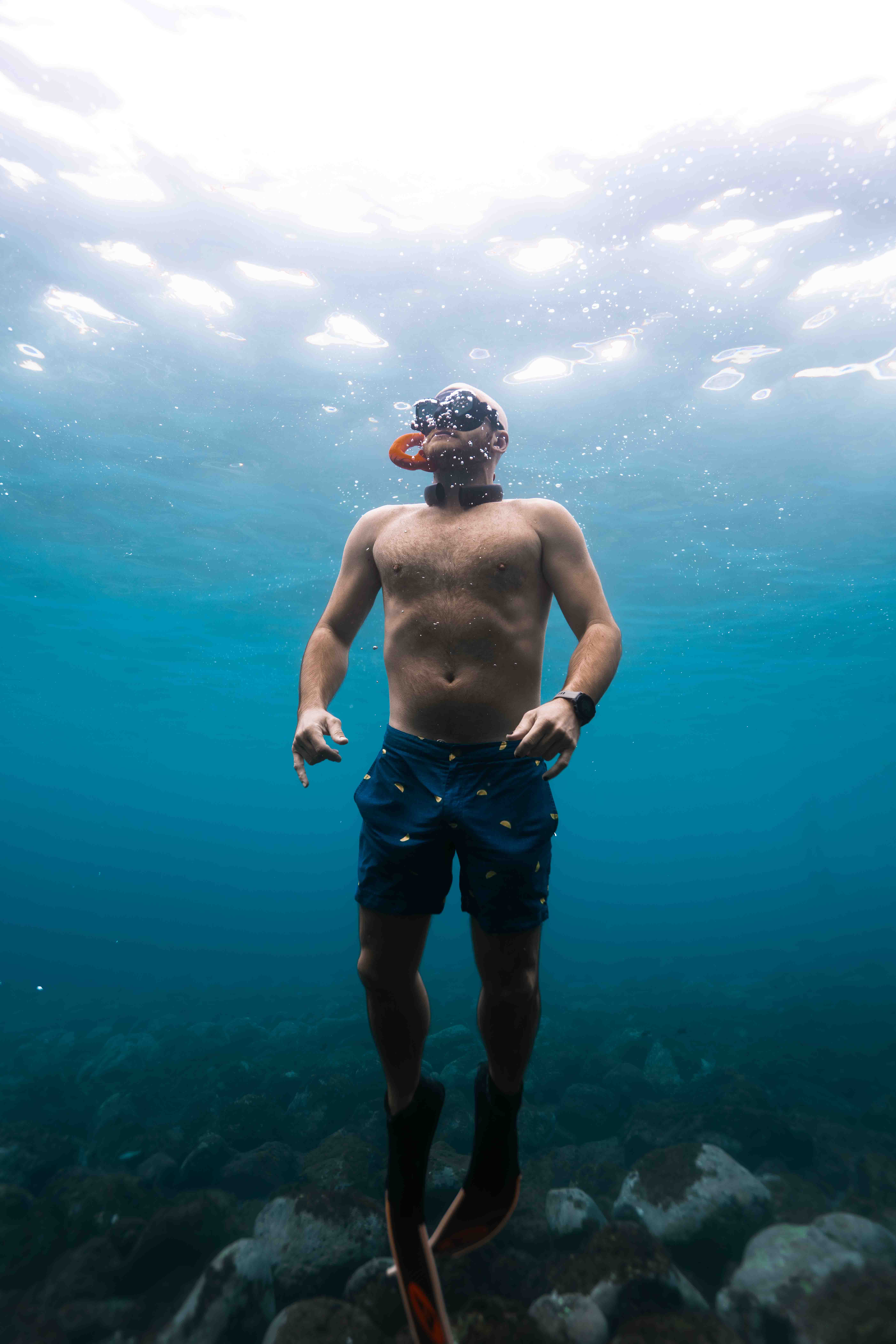 Underwater photo _AR50070.jpg