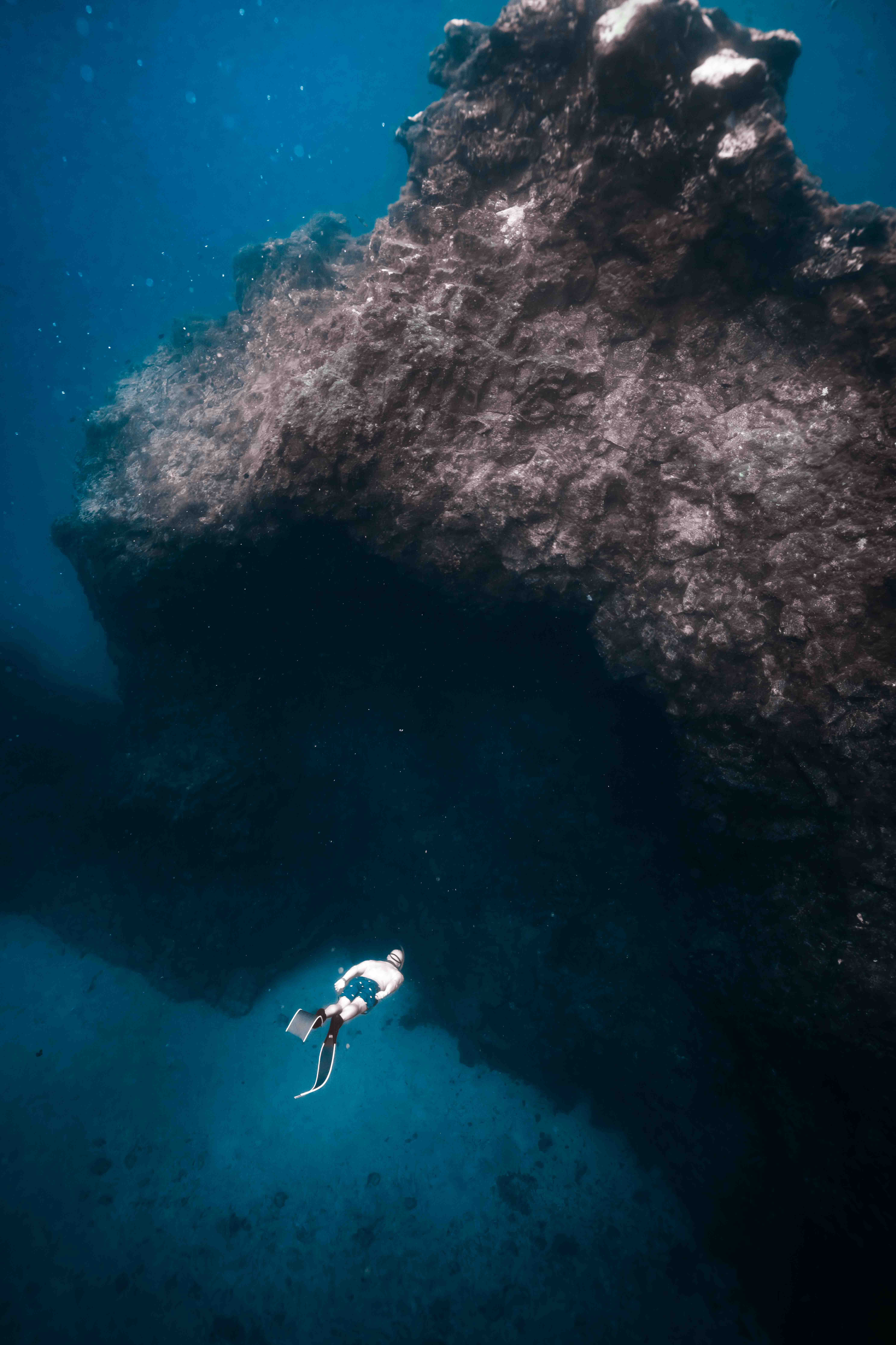 Underwater photo _AR50168.jpg