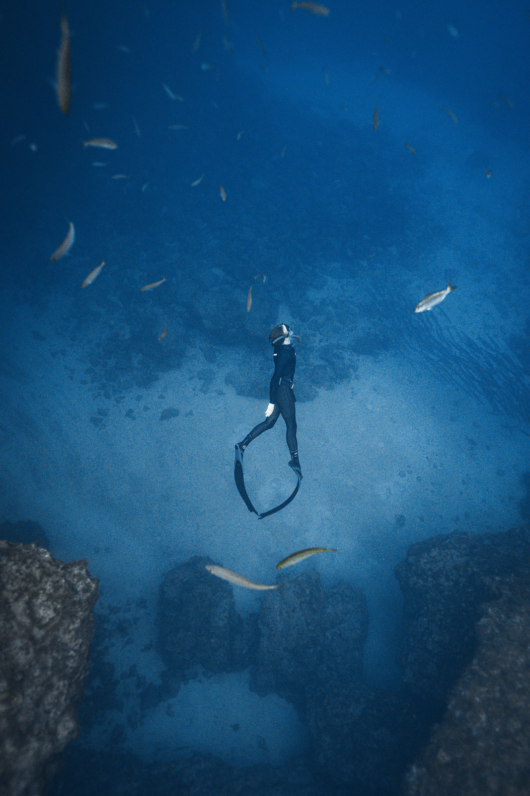 Underwater photo _AR50242.jpg