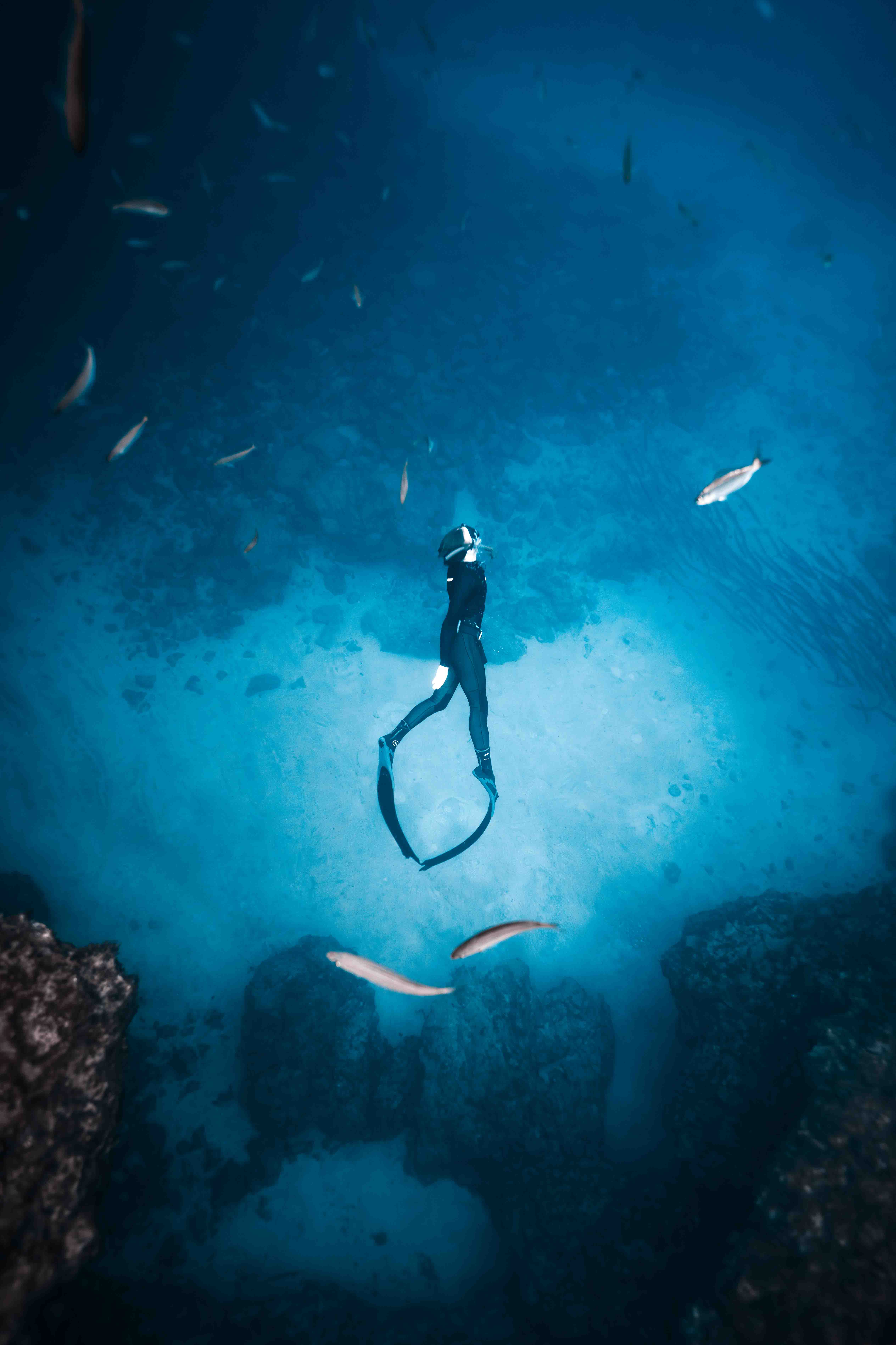 Underwater photo _AR50242.jpg