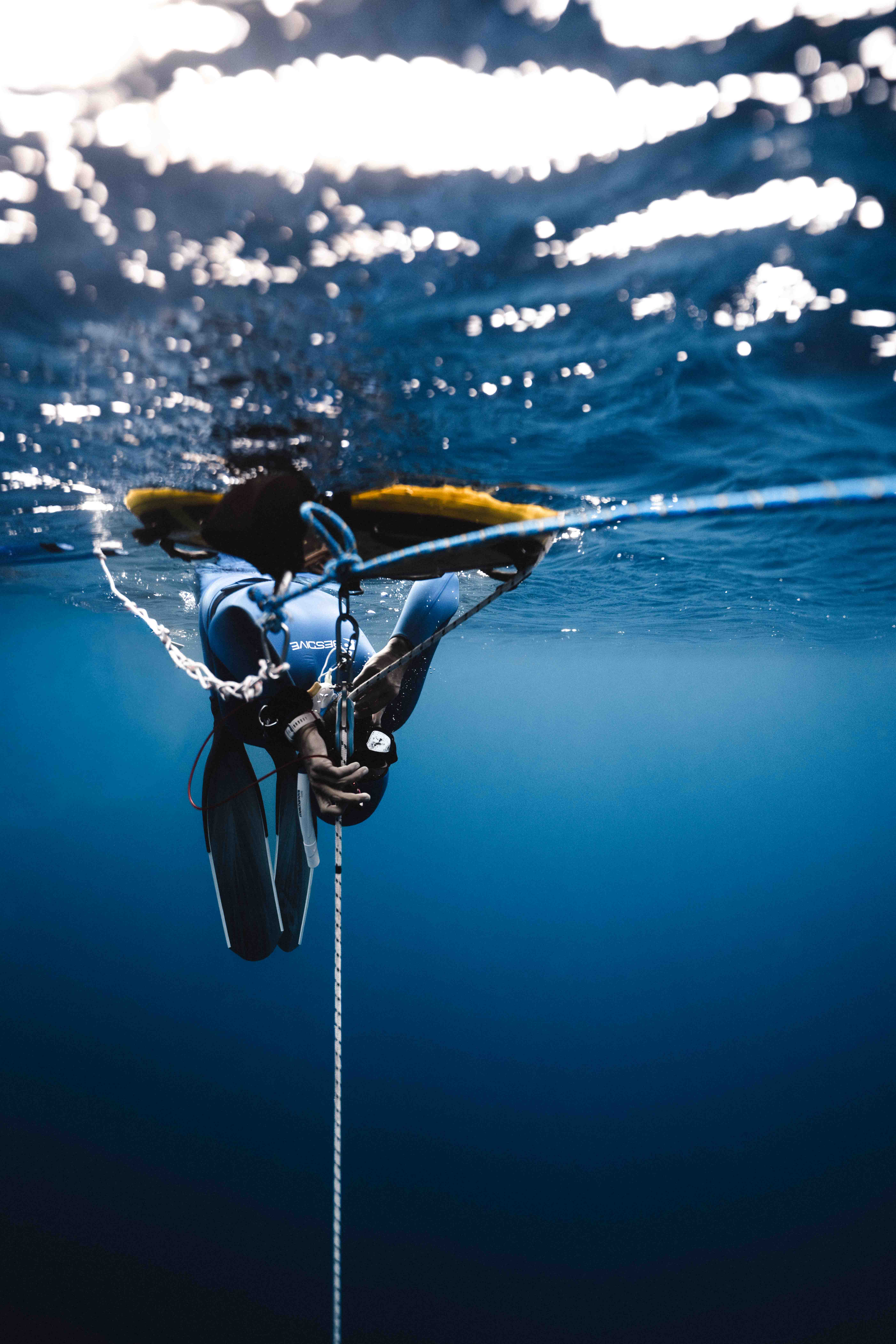 Underwater photo _AR59556.jpg