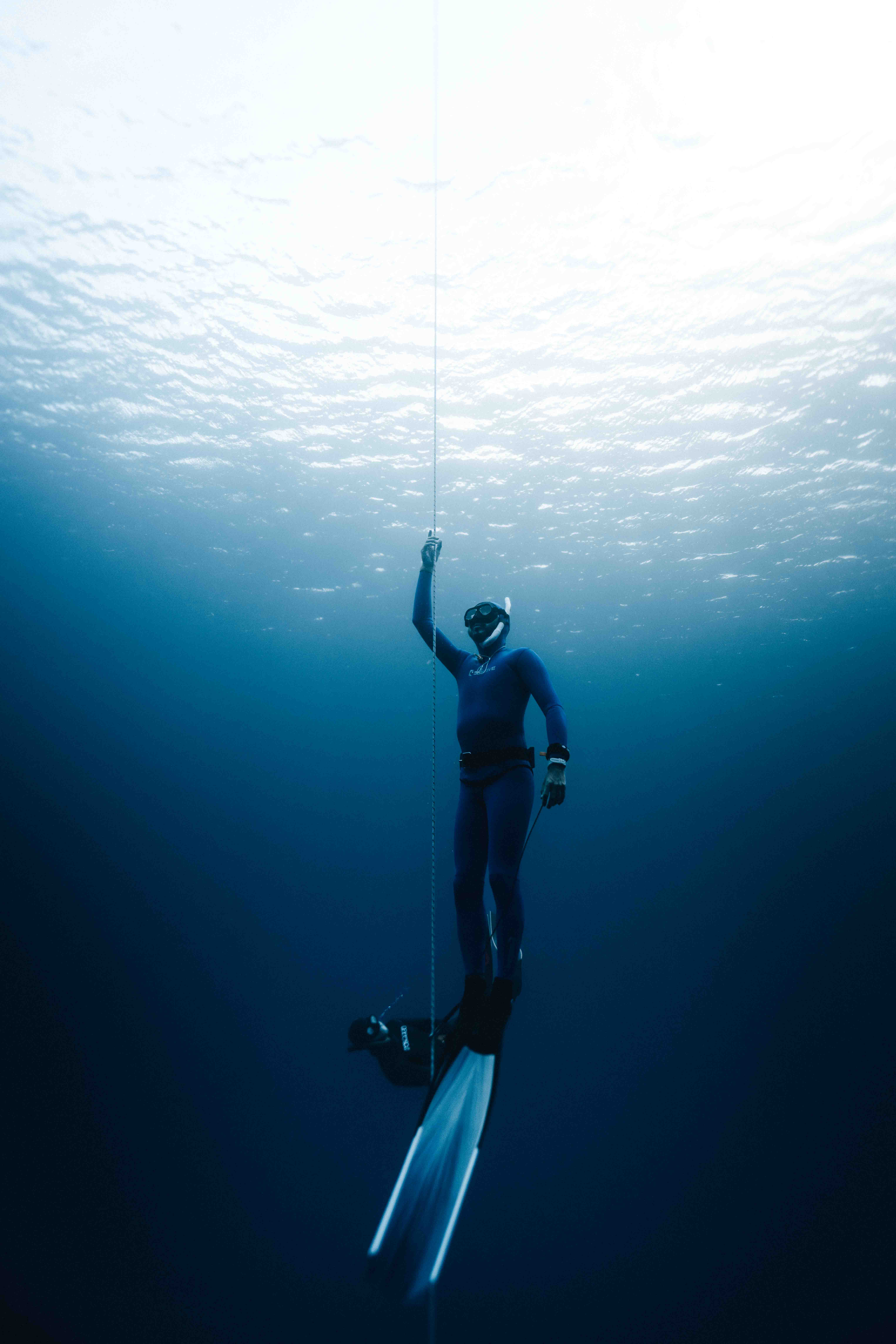 Underwater photo _AR59579.jpg