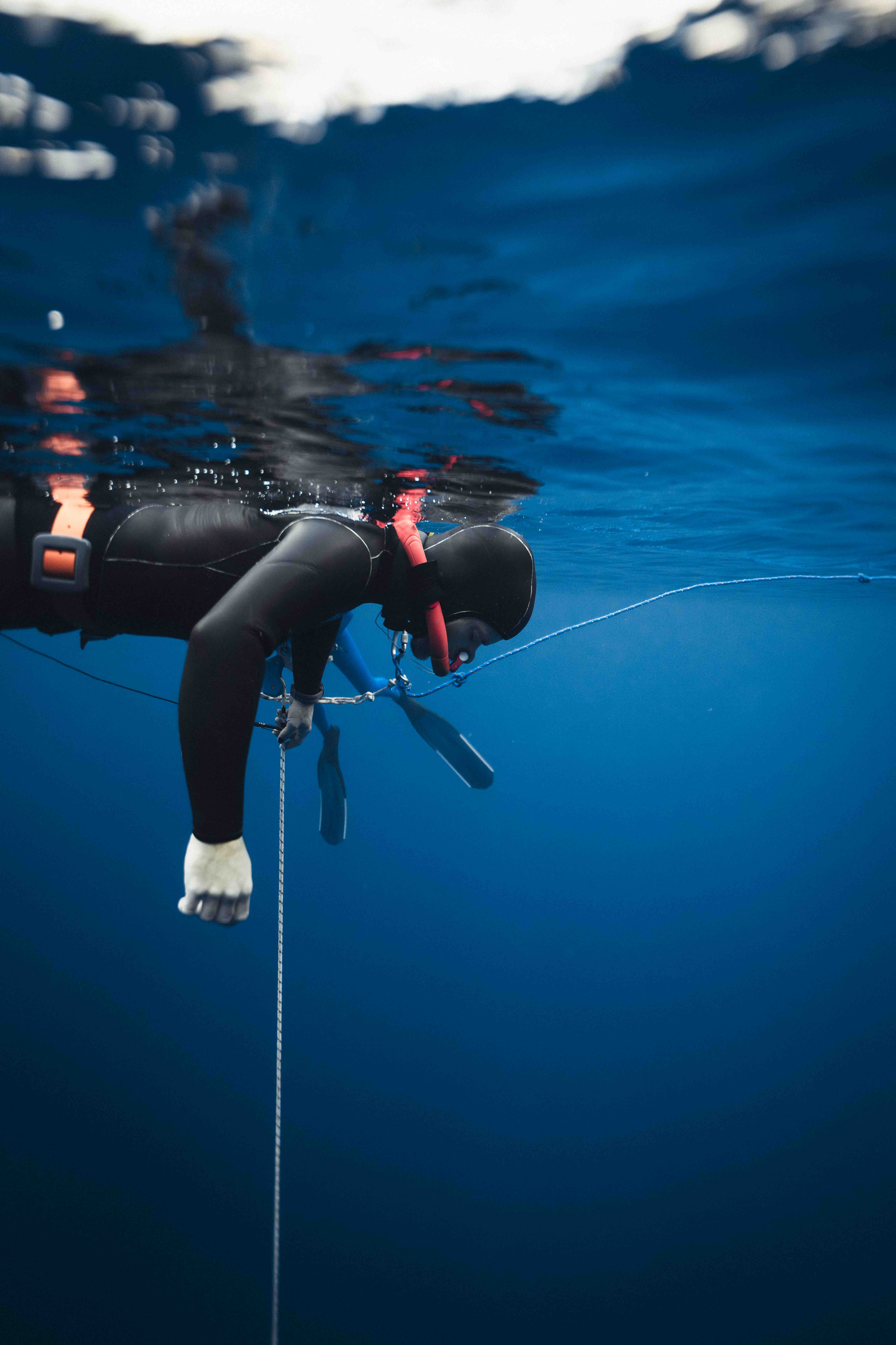 Underwater photo _AR59600.jpg